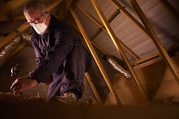 Best Local Insulation Services  in Kaumakani, HI